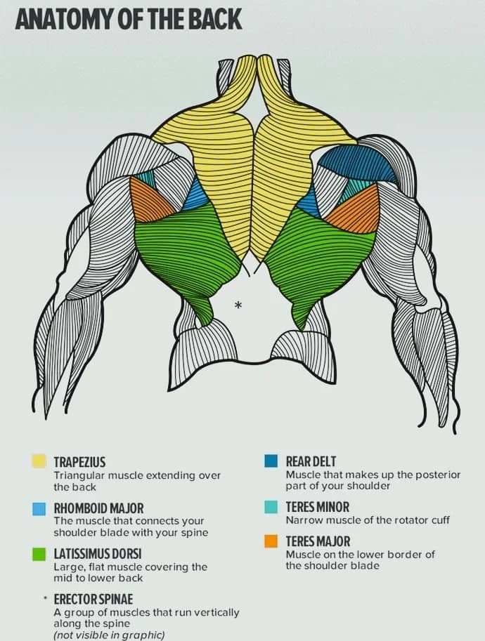 Best Back Workout For your Back