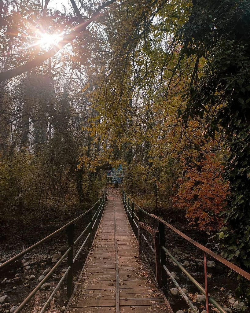 dachigam national park hidden places in kashmir