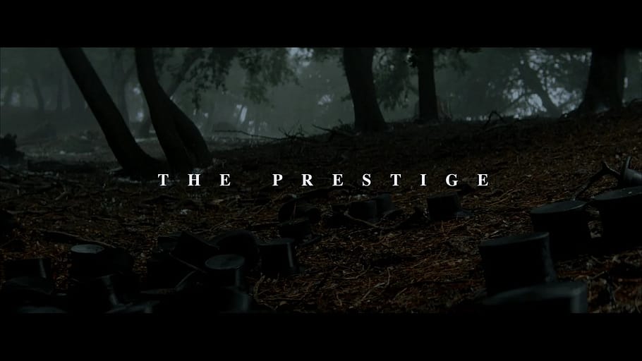 top 7 best most popular