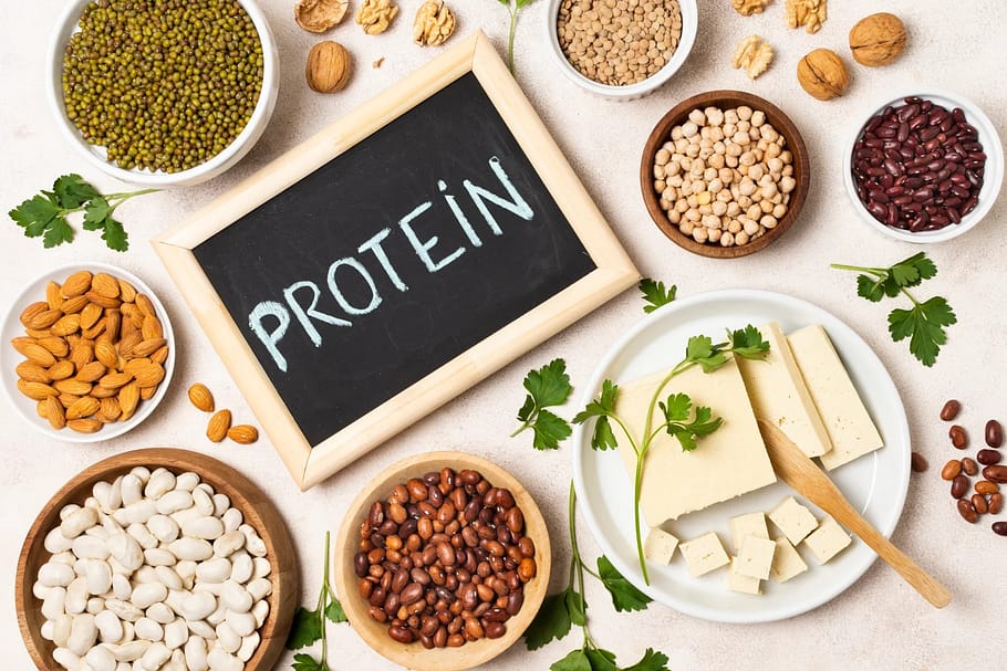  Plant-Based Protein Sources