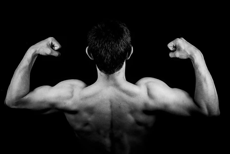 Best Back Workout For your Back
